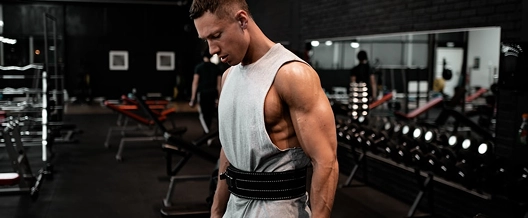Gym fitness software